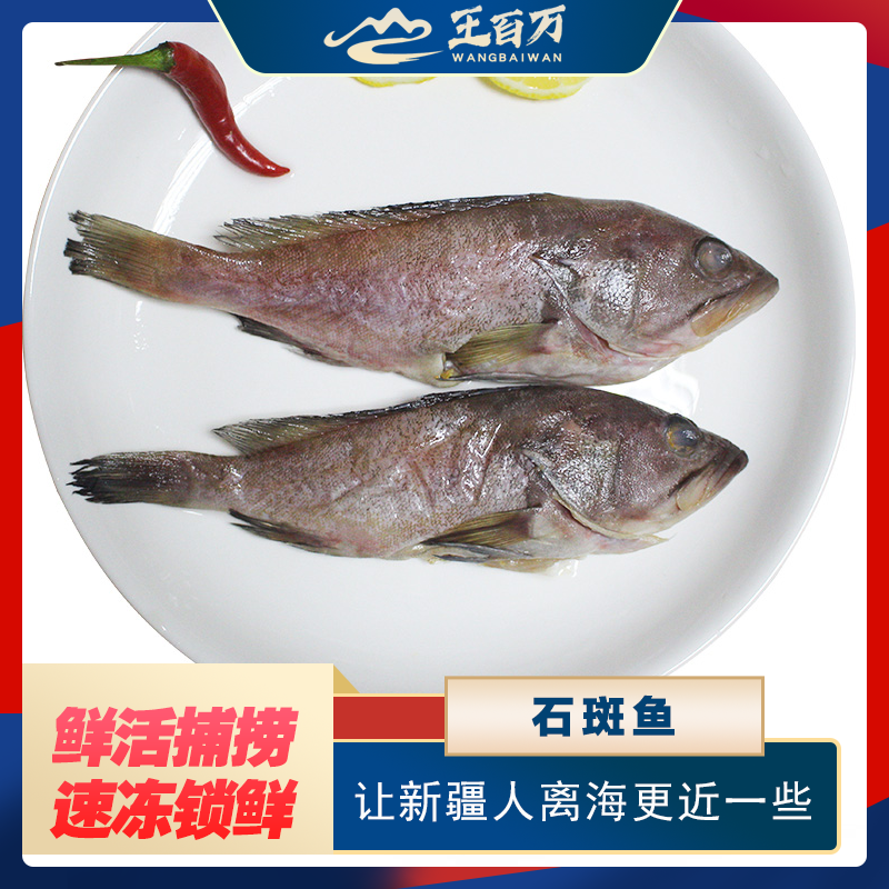 【王百万海鲜】只发新疆石斑鱼450克左右/袋营养速冻
