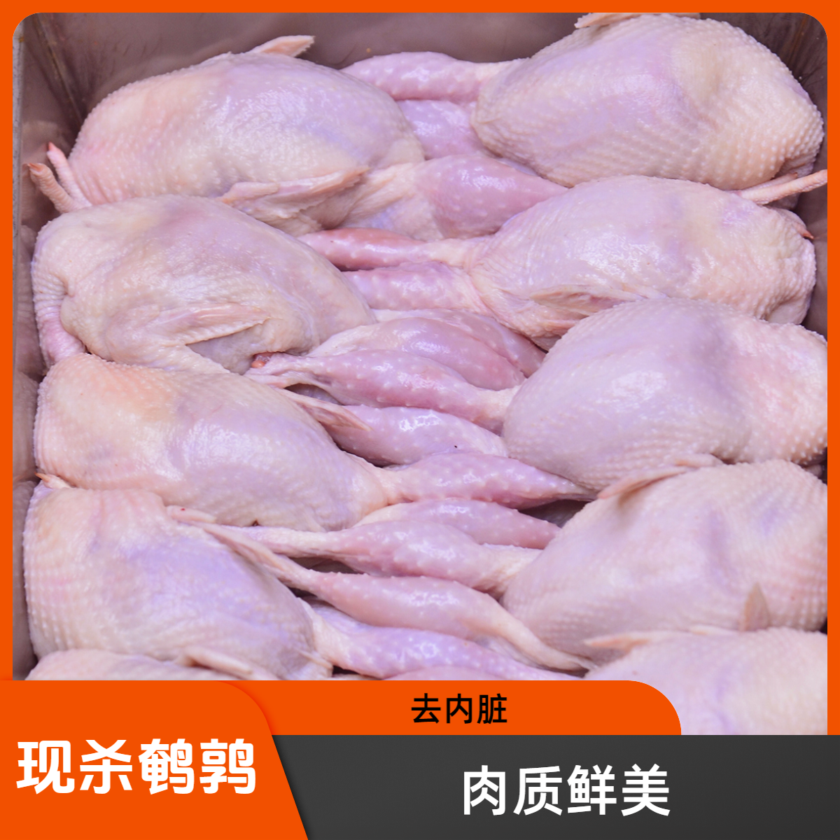 【冷鲜鹌鹑】当天现杀鲜货带皮老母鹌鹑孕宝妈炖汤新鲜食材儿童辅食