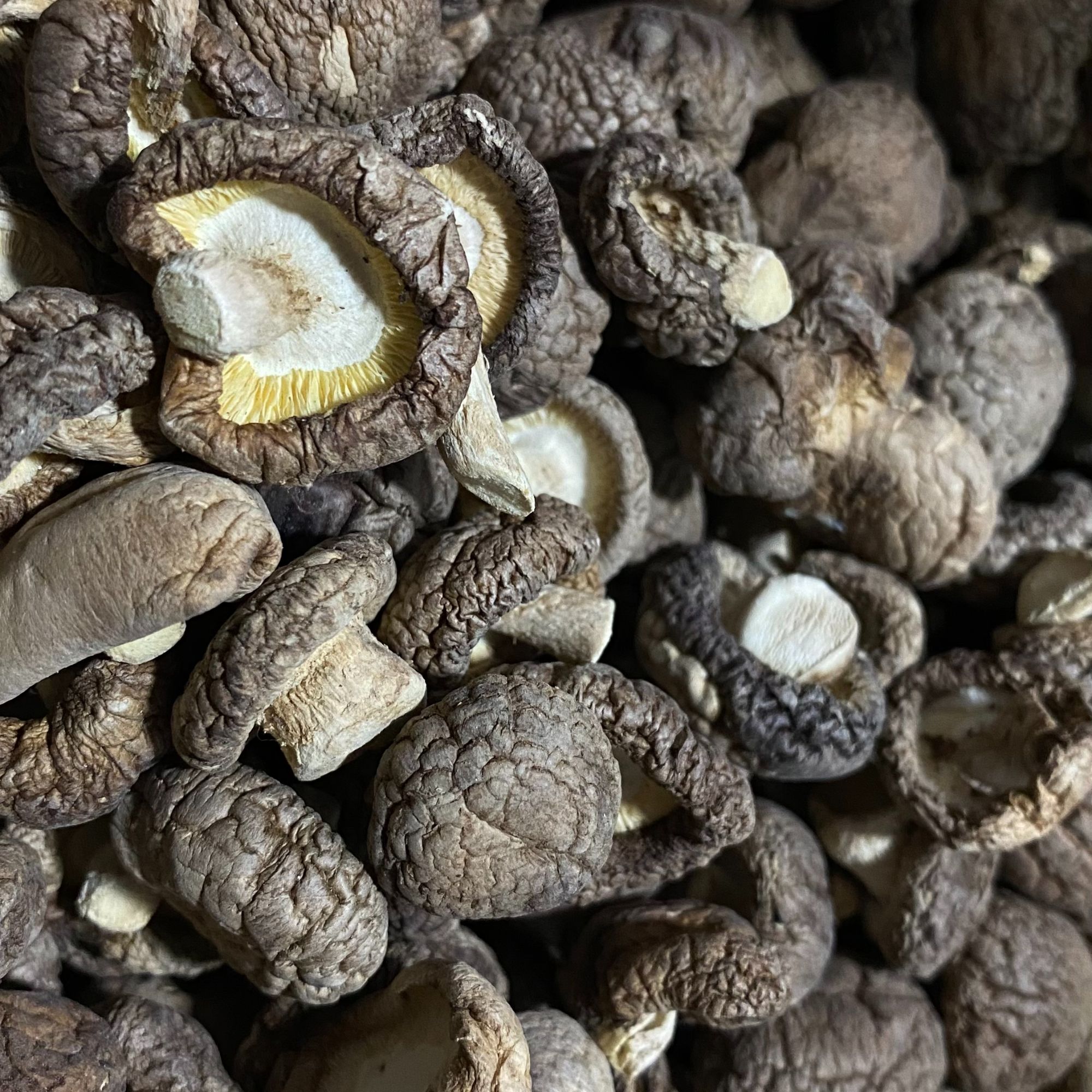 【中缅越土特产】现收  小香菇  250g-500g土特产农产品