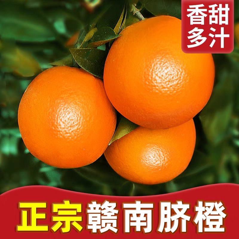 【赣南脐橙】5斤装果园直发新鲜现摘自然成熟
