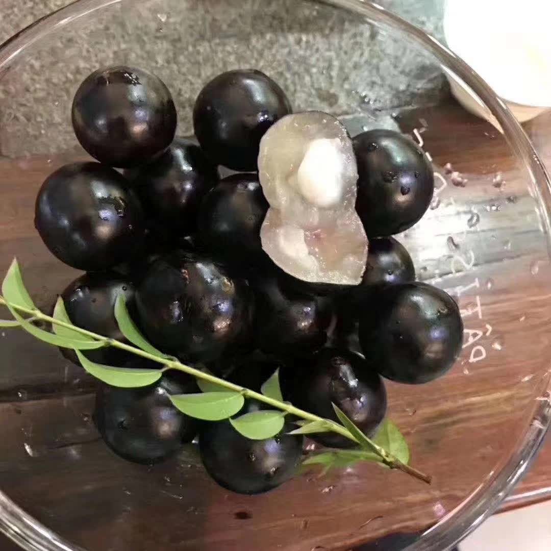 【霞】【一物一拍链接】   【接受快递途中掉花果拍  发货不退不换】 