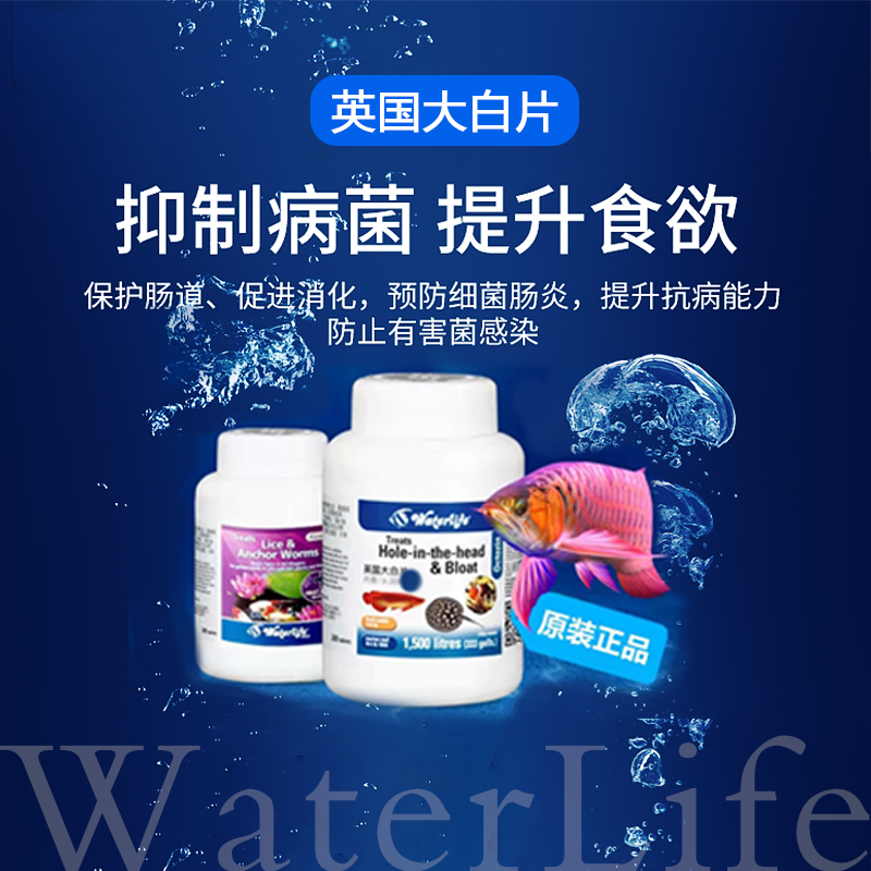 waterlife英国大白片调观赏鱼内寄肠炎鱼体肠道益生菌大白片龙域