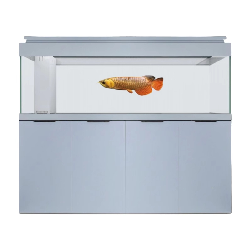 金淼王鱼缸今彩PRO简约时尚大适用任何场景 龙域可高端订制