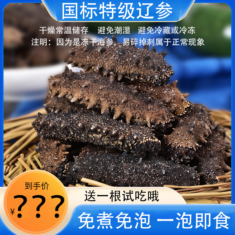 【国标特级辽参】大连底播干海参（不蒸！不煮！纯净水直接泡发）xy
