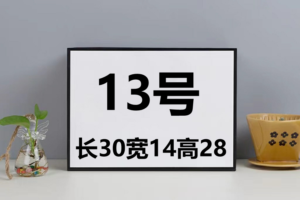 【13号】2024新款潮流时尚旅行包（长30 宽14  高28）气质百搭