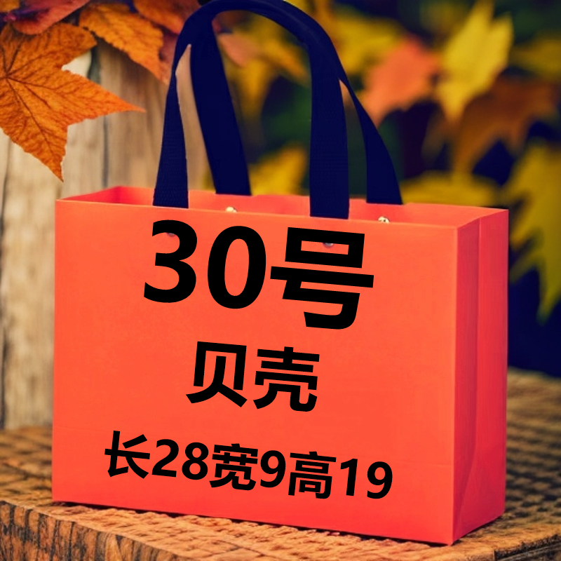【30号】2024新款单肩斜挎贝壳包（长28 宽9  高19）高端气质百搭