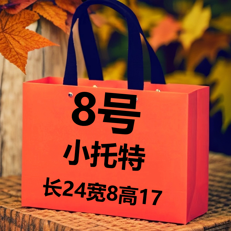 【8号】2024新款单肩斜挎小托特包（长24 宽8  高17）气质百搭