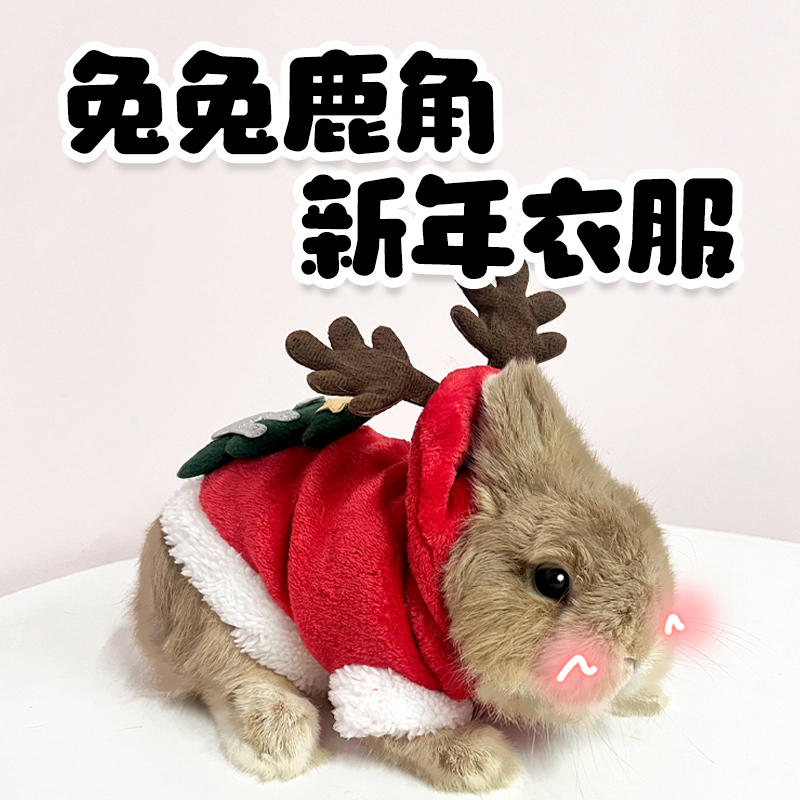 宠物兔衣服兔子衣服宠物侏儒兔衣服可爱圣诞装小兔子宠物衣服