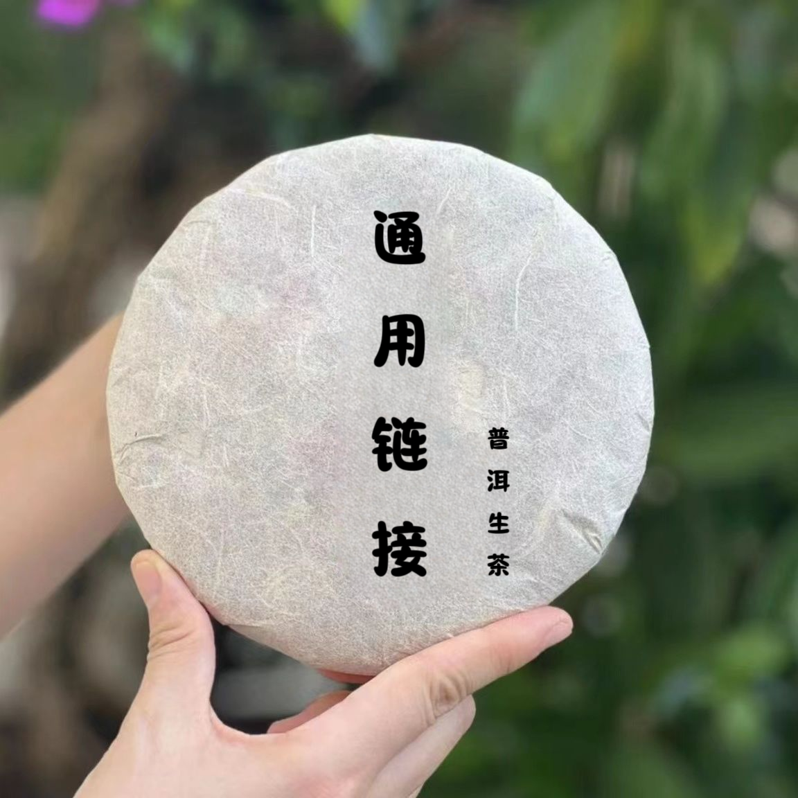 【价格已开】（生茶）通用链接 普洱生茶30g-2500g