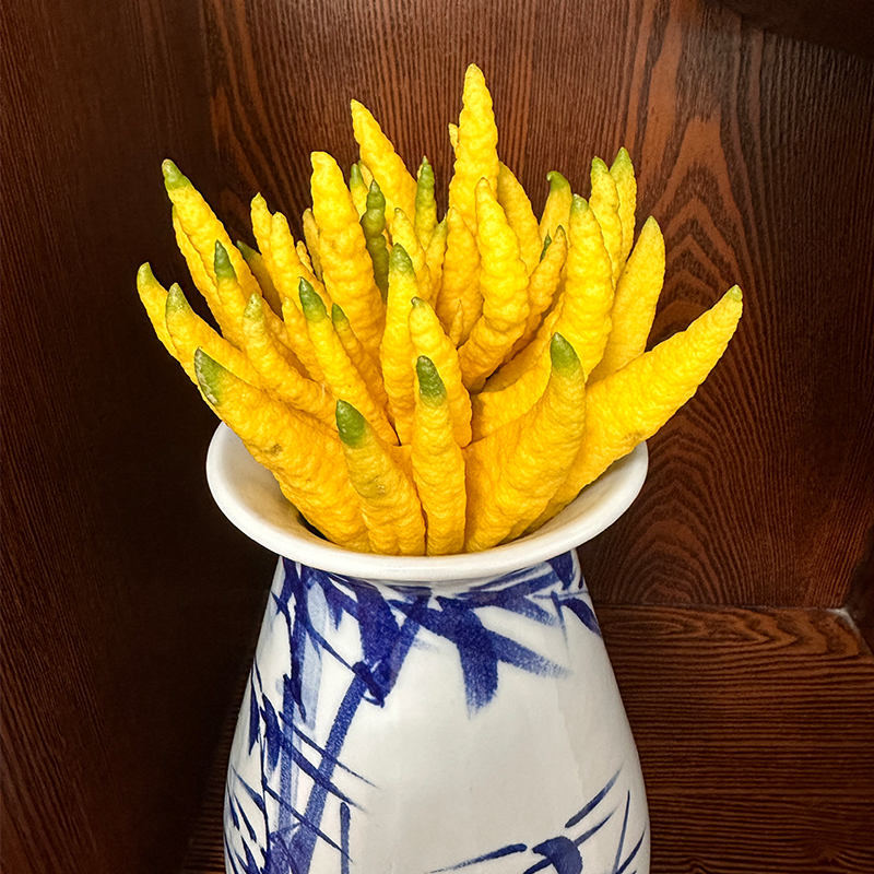 [1-100]L云南佛手花【插花】清供观赏家居水培清供【售后7天内】