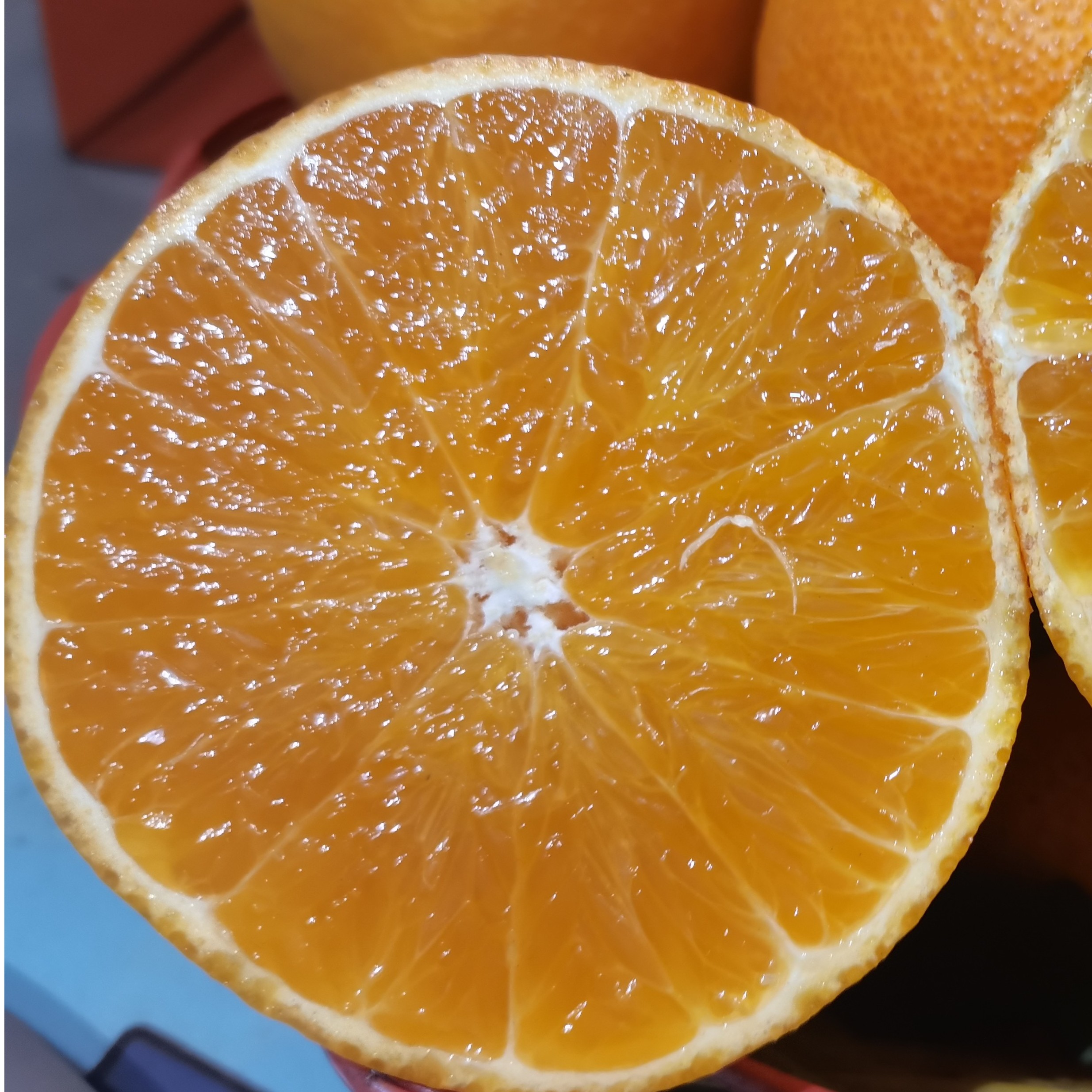 遵义道真李厚文爱媛38号果冻橙入口化渣新鲜现摘包邮