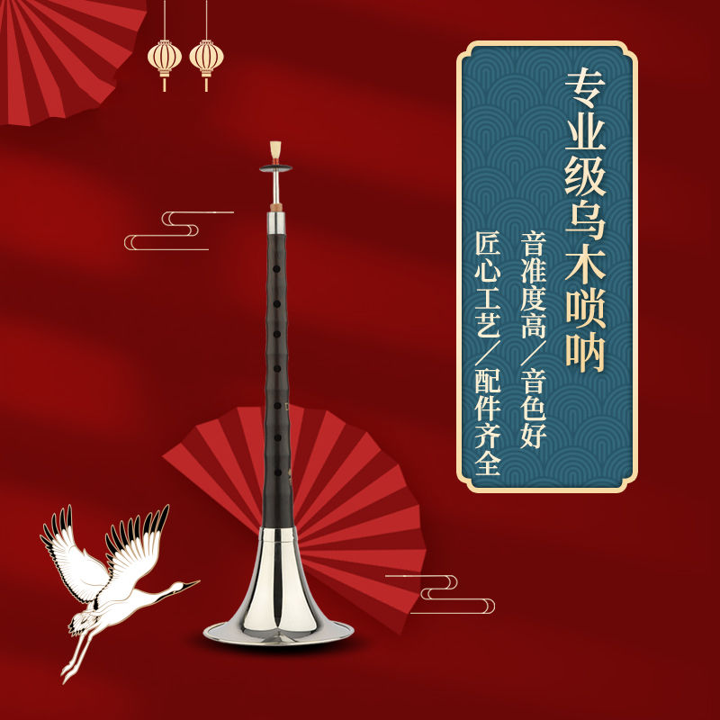 专业乌木全套唢呐乐器初学者D调演奏锁呐儿童大小号喇叭哨片包邮