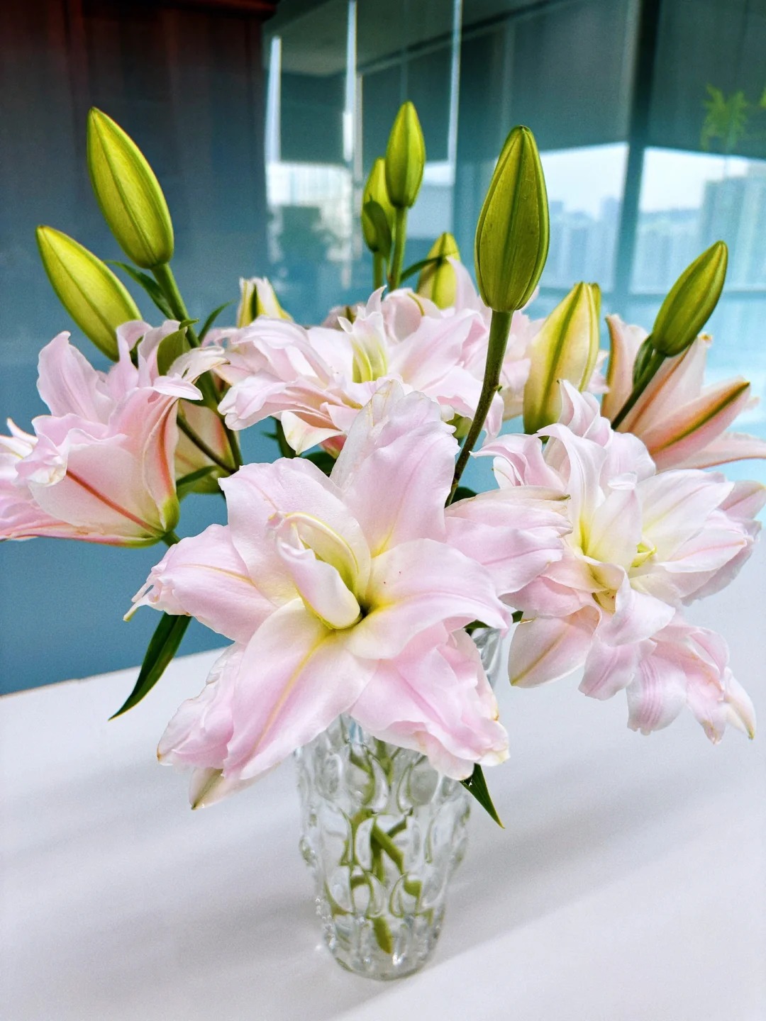 女神·粉色系重瓣香水百合