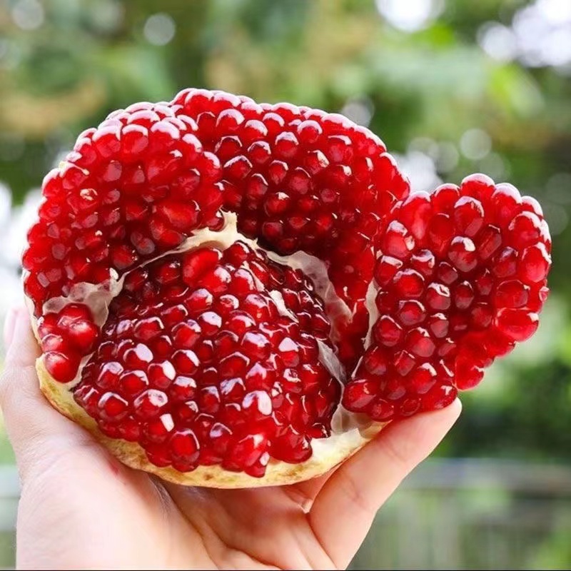 xX突尼斯大果软籽会理石榴4.5-8斤装新鲜当季水果纯甜多汁福利款