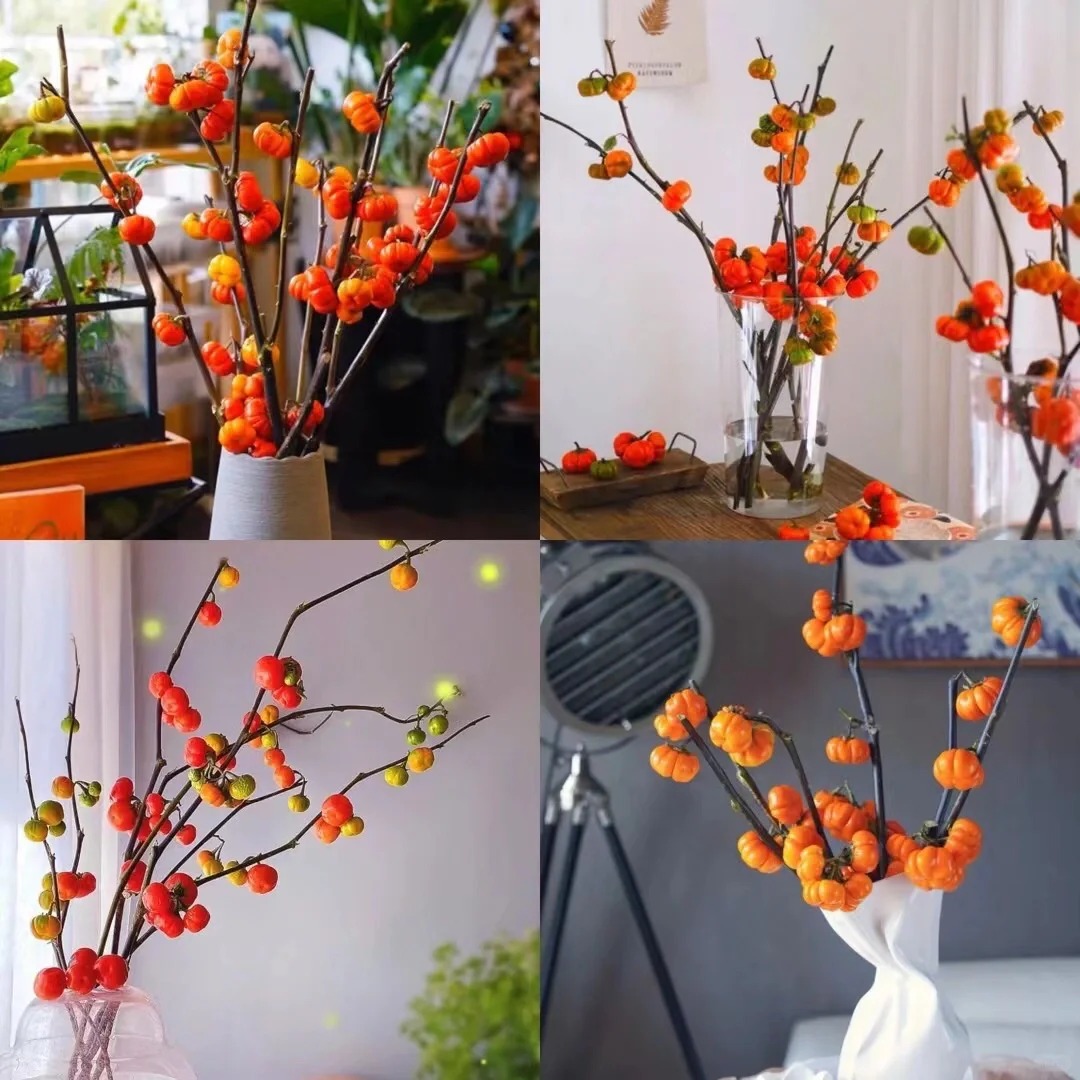 【小南瓜】云南生活鲜切花 基地直发 高品质居家软装瓶插花