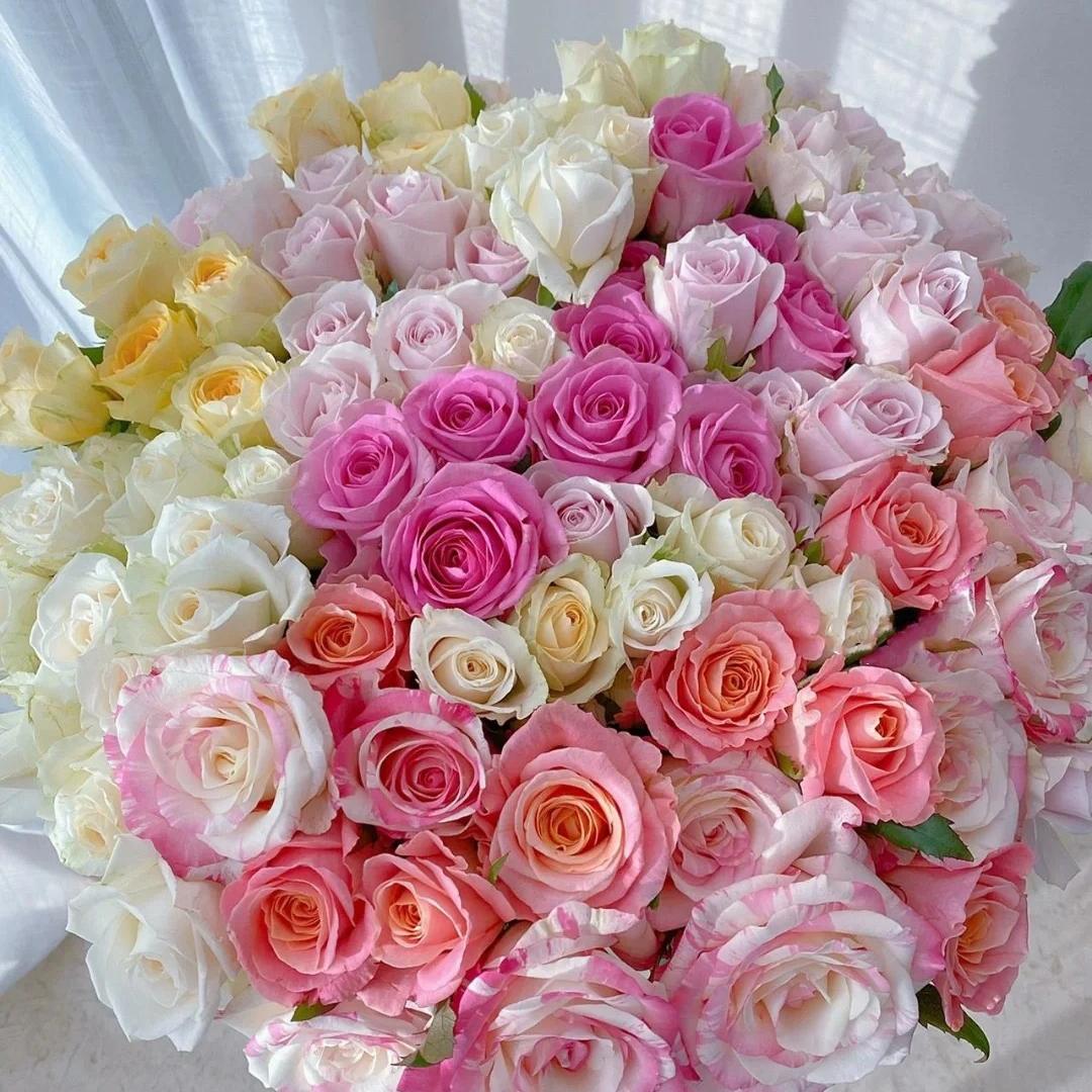 【523不指定玫瑰组合】云南鲜切花 高品质生活瓶插花 玫瑰花束