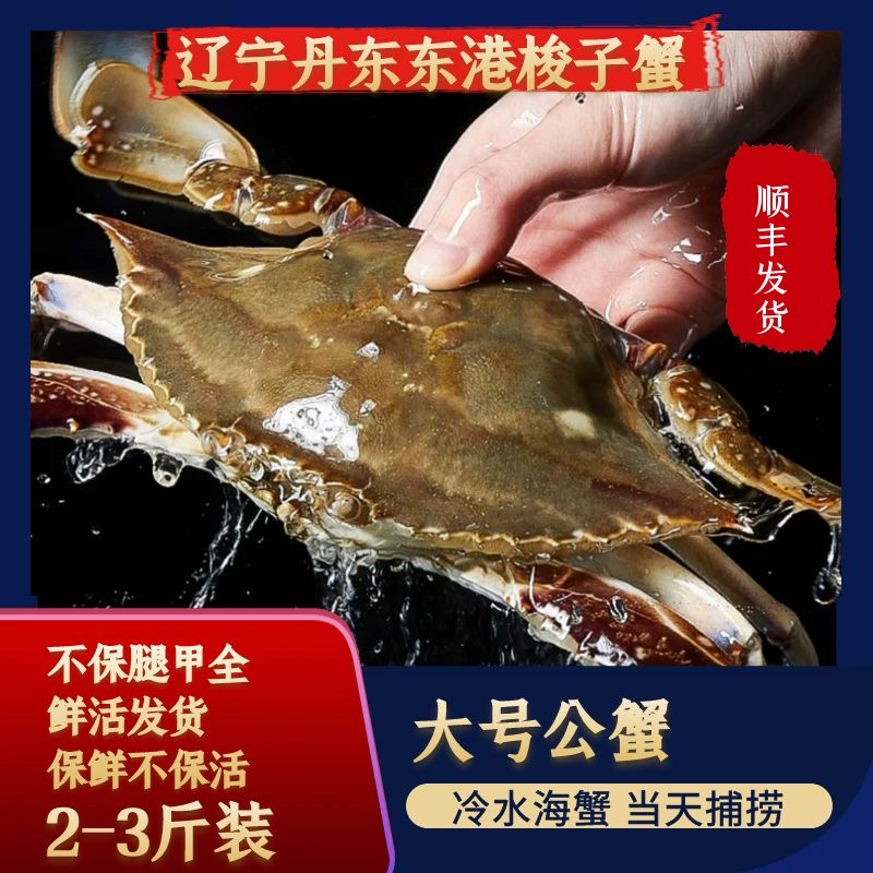 【保鲜不保活】大号公蟹5两左右/只 2只左右/斤2-3斤装不保腿甲全