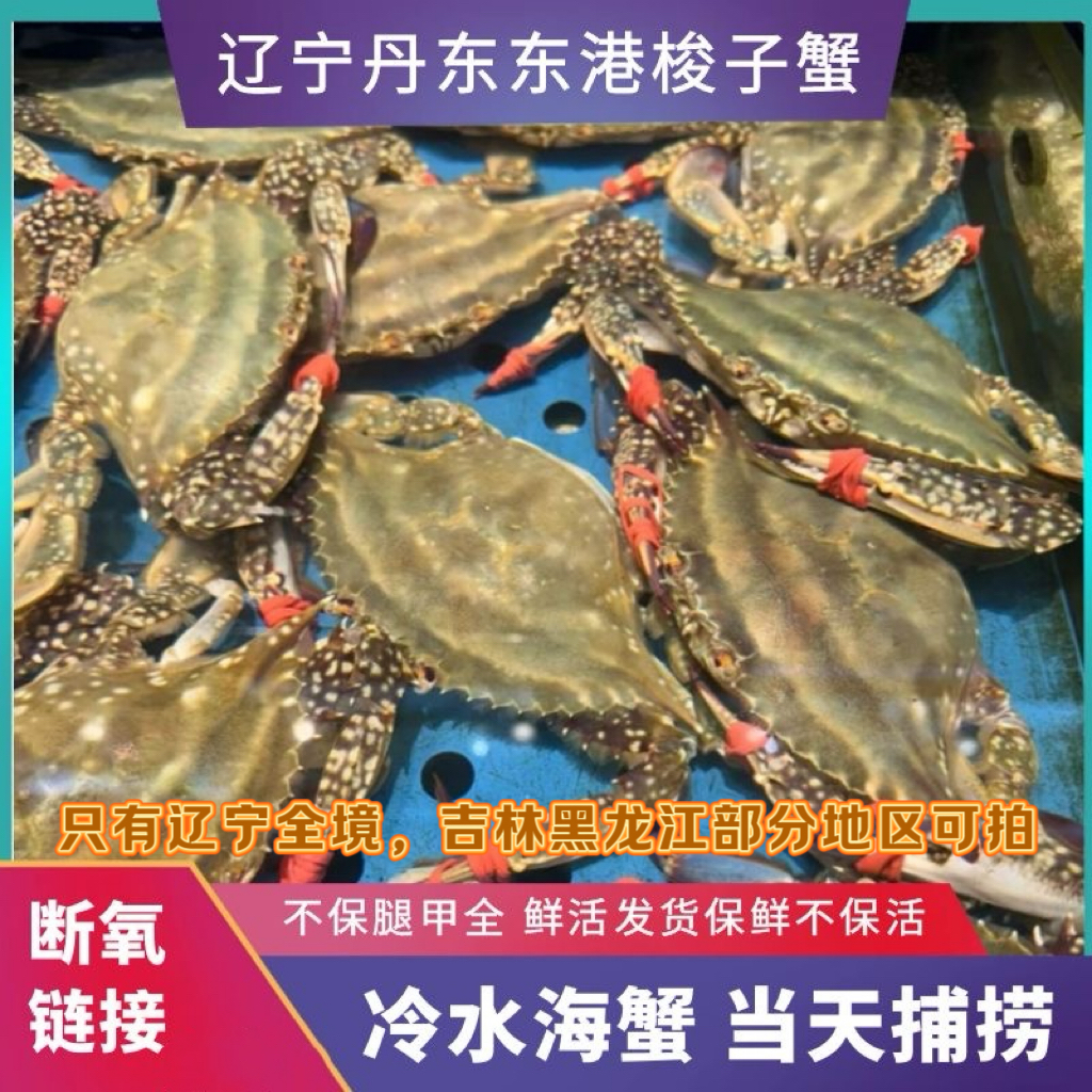 断氧蟹 一斤4只左右，2.5两左右/只3斤装 不保腿甲全【保鲜不保活】