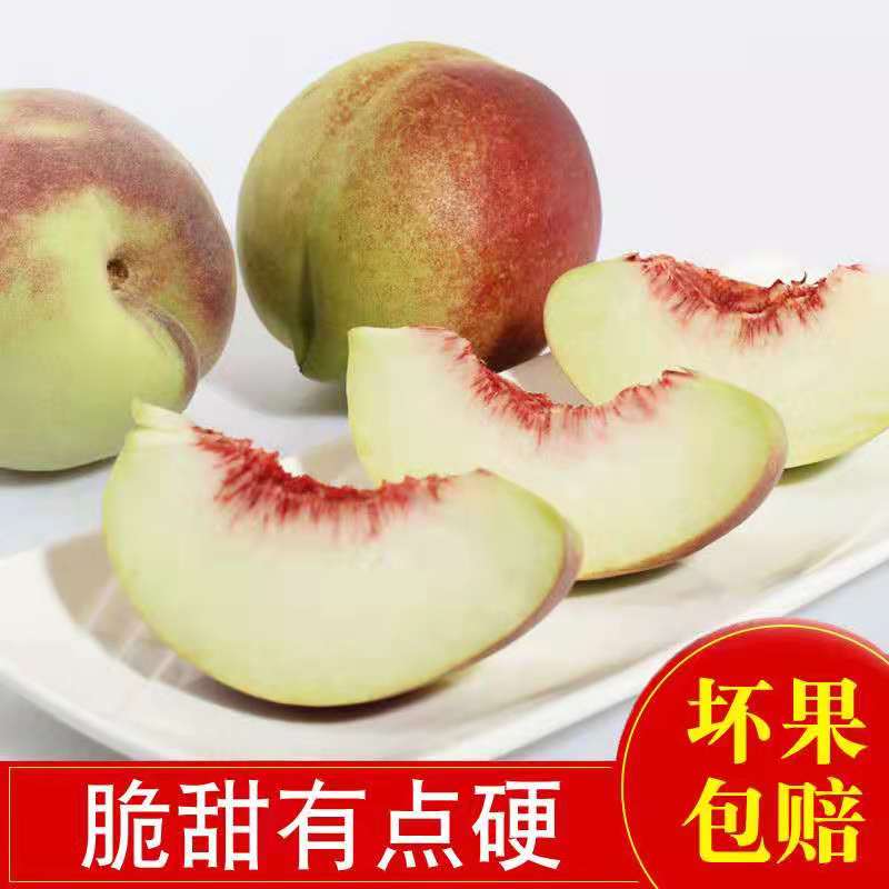 正宗青州蜜桃脆蜜桃山桃毛桃脆甜离核新鲜水果现摘现发5斤包邮QGQ