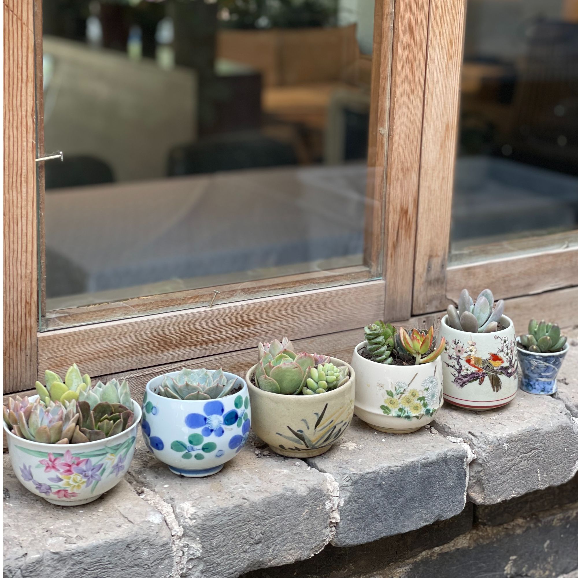 盘子瑕疵品种花买家秀