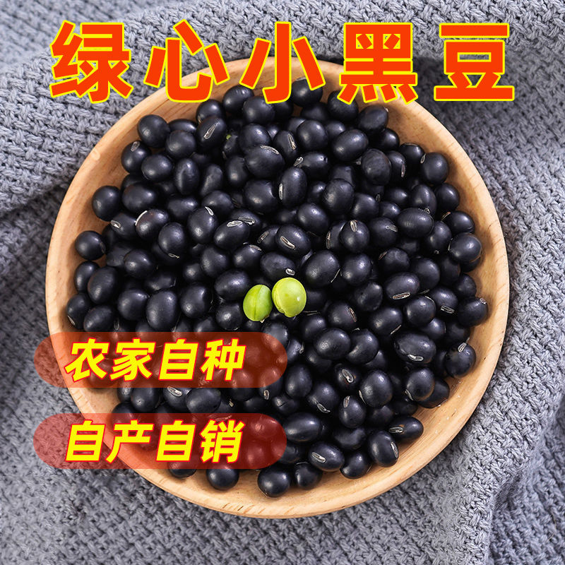 云南黑豆绿芯绿心黑豆农家青仁黑豆发芽打豆浆新货纯黑豆包邮B11