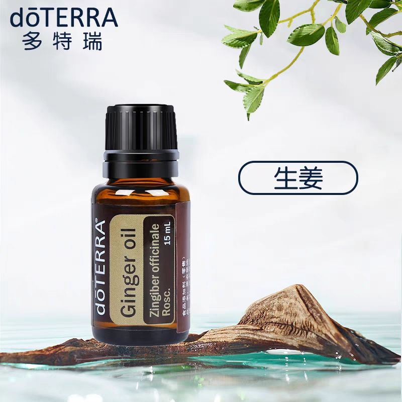 doTERRA多特瑞精油生姜单方精油 按摩官网正品15ml