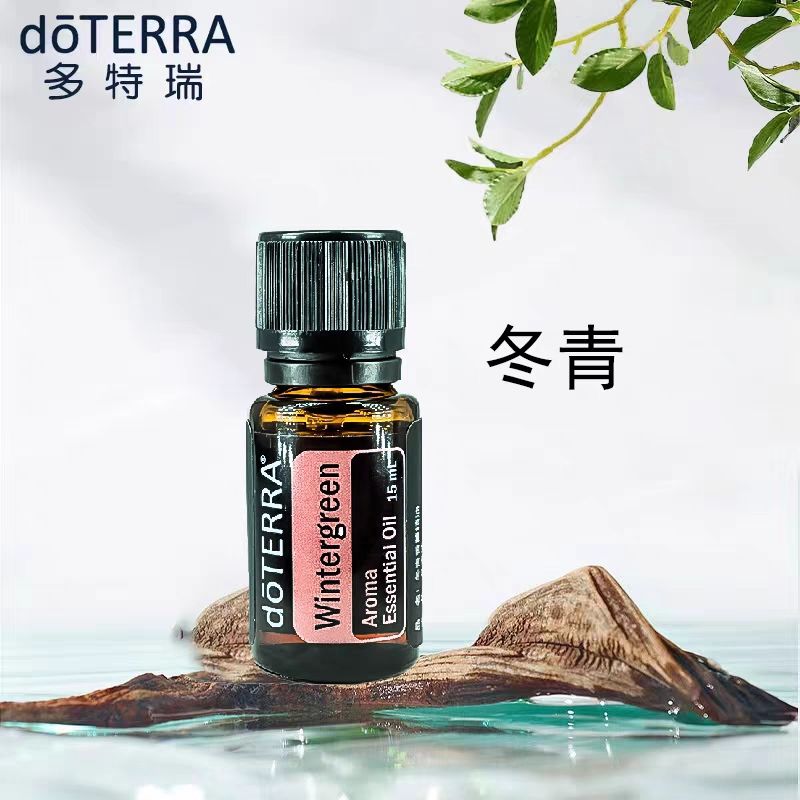 多特瑞精油冬青精油doterra官网15mL 舒缓肌肉关节按摩香薰单方油