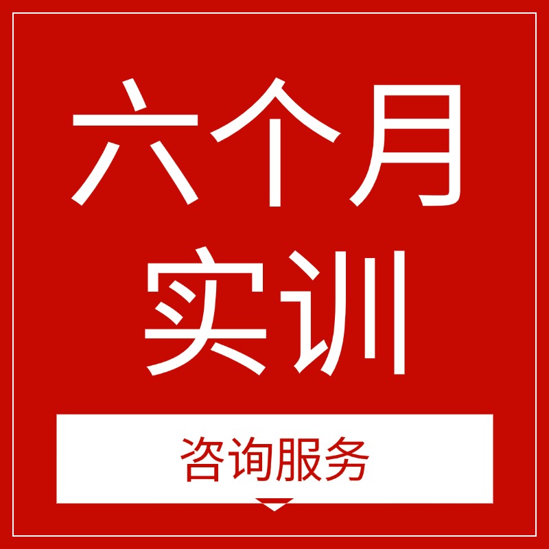 新起点六个月实训 咨询服务