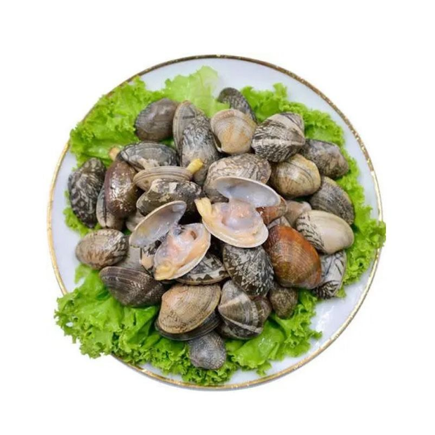 【小时达】鲜活 花甲 500g ±20g