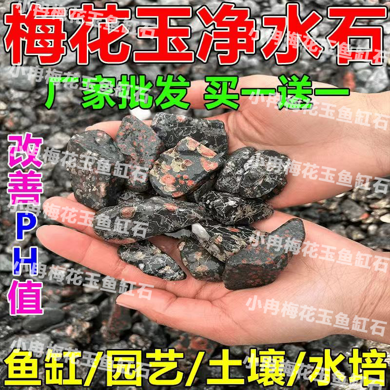 梅花玉安山岩玉溪流石底沙鱼缸造景底沙天然溪沙河沙化原生缸造景