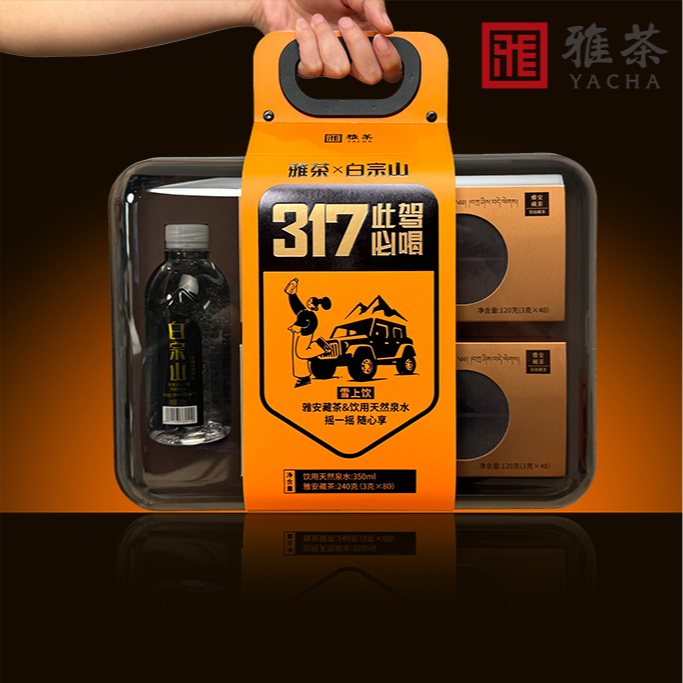 雅安藏茶此生必驾317雪上饮 便携冷泡茶