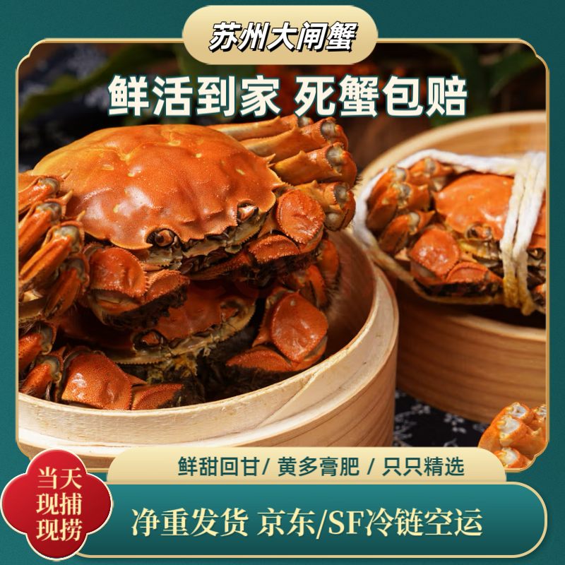 【活蟹】苏州精品大闸蟹8/10只 公蟹5.1-4.8两＋母蟹4.1-3.8两 礼盒