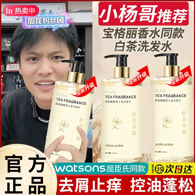 山茶花洗发水无硅油控油蓬松除螨去屑止痒洗头膏露持久留香男女士