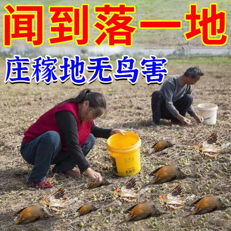 千米来鸡】招山鸡神器新款鸡喜欢吃闻味来彩鸡专用鸡用饲料引食剂