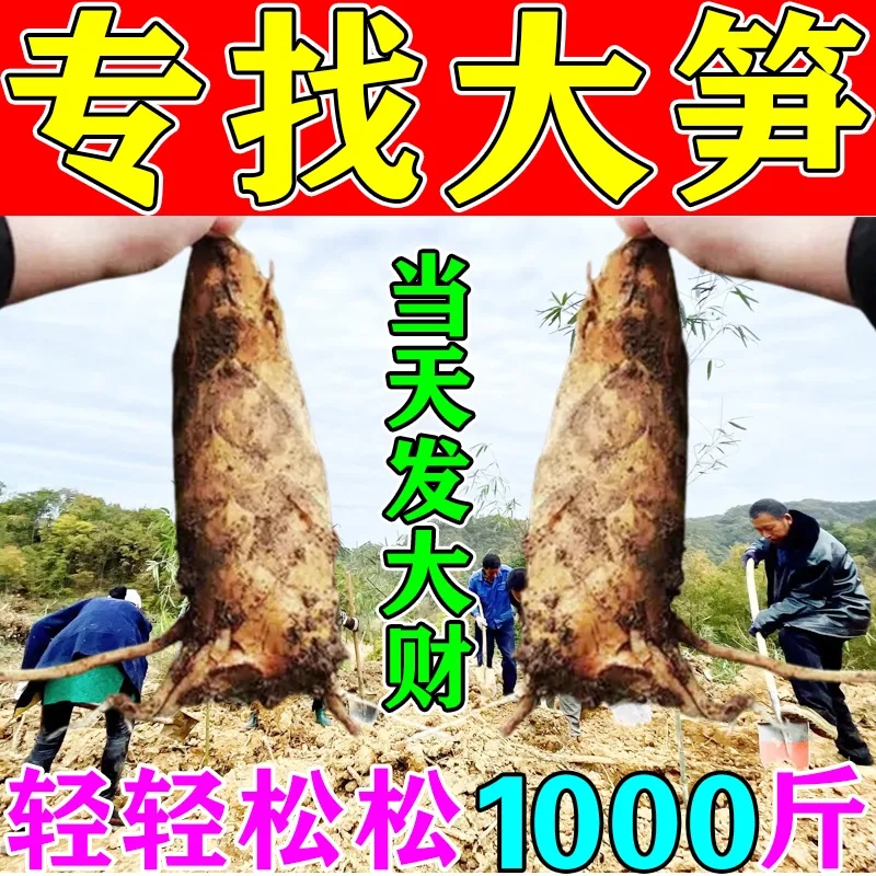 找笋神器】2024新款找冬笋眼镜竹林山地找冬笋专业挖笋定位探测器