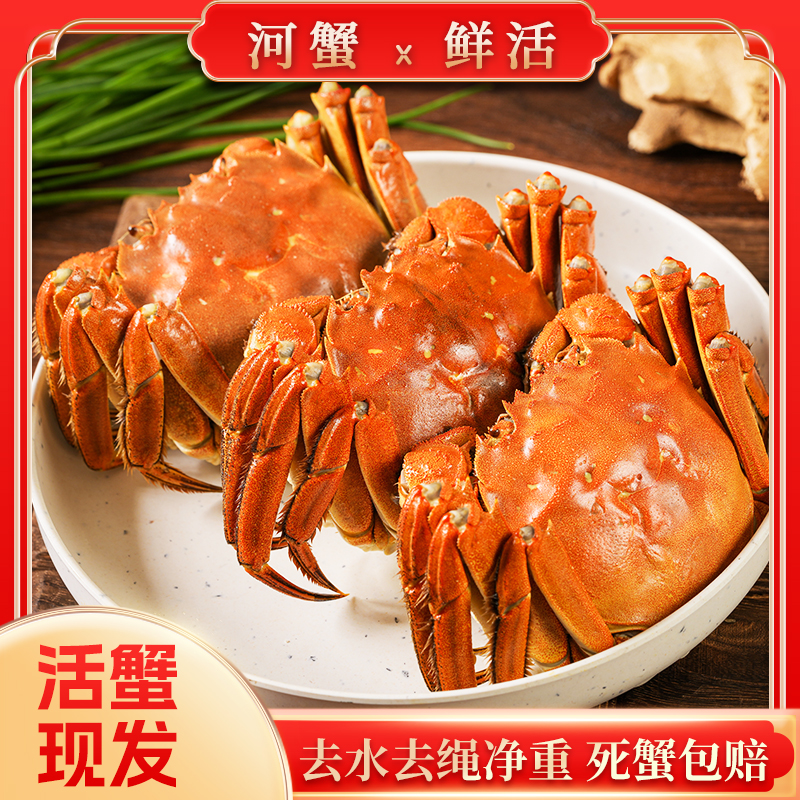 【活蟹现发】苏蟹鲜活河蟹螃蟹每只2两-1.8两鲜活发货共10只（公蟹）