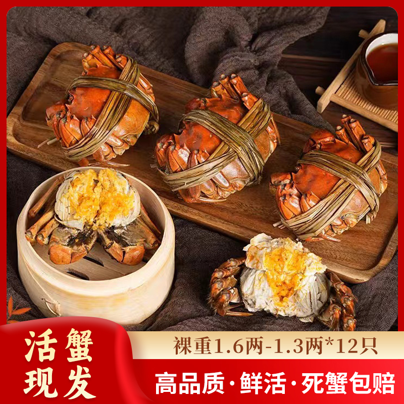 【活蟹现发】苏蟹鲜活河蟹螃蟹每只1.6两-1.3两鲜活发货共12只公蟹