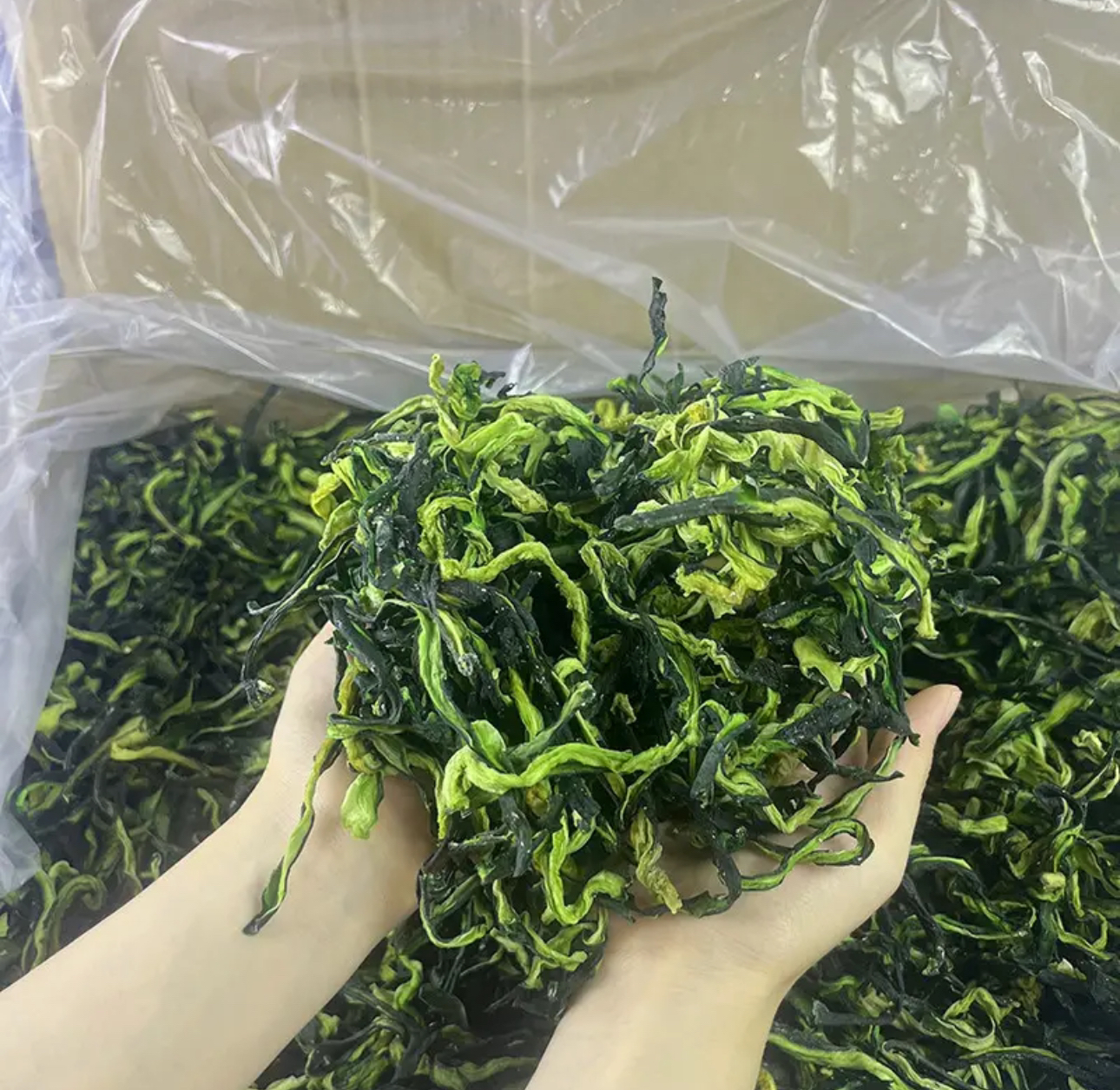 东北农家黄瓜条250克起精选包邮