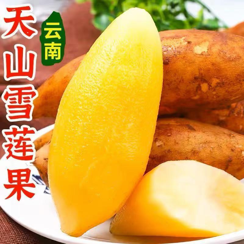 【新疆直发】云南天山雪莲果新鲜黄心雪莲果水果新鲜应季水果