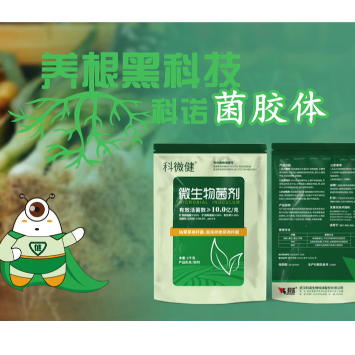 草莓苗不壮 苗不长 营养吸收困难 科微健快速缓解