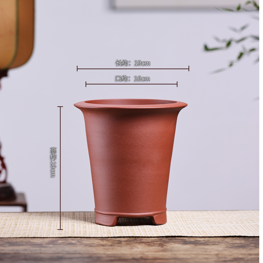 宜兴春秋紫砂兰花盆室内花盆清仓捡漏兰花专用蝴蝶兰花盆树脂花盆