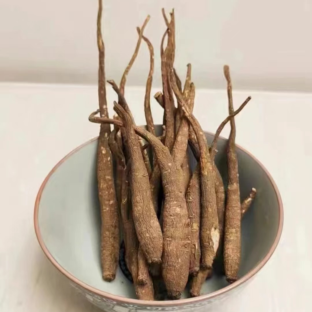 【滇缅山货】【当归】可搭配西洋参