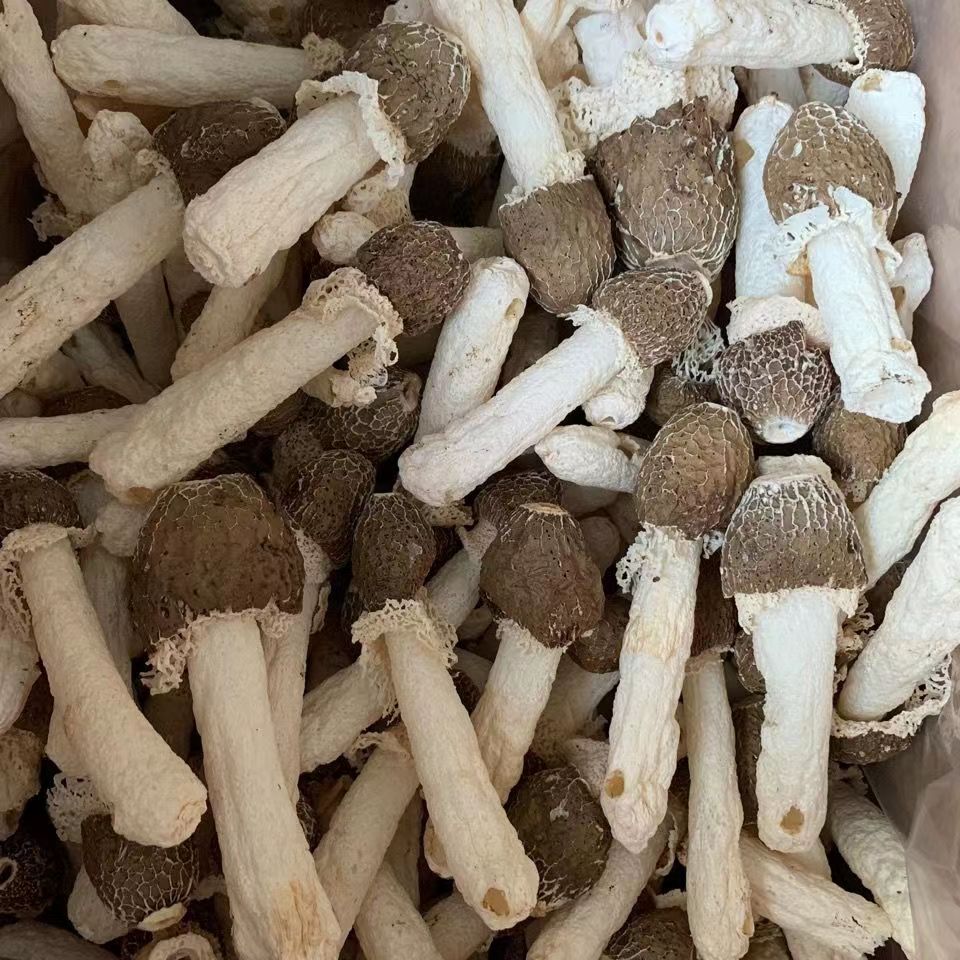 【滇缅山货】【竹荪】滋补营养品