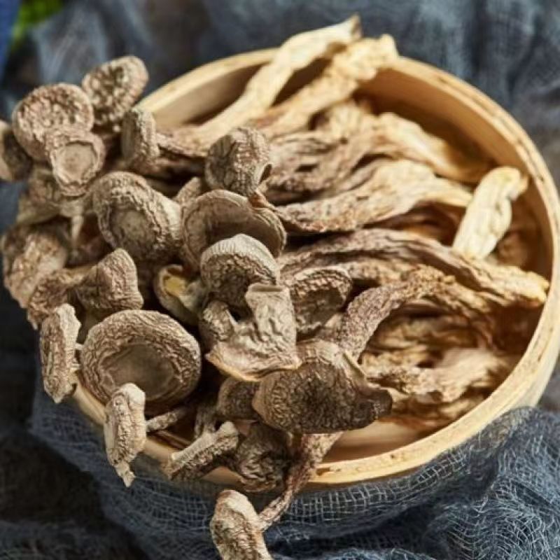 【滇缅山货】【鹿茸菇】滋补营养品