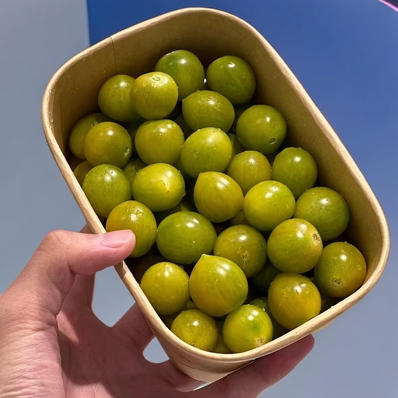 青霞绿宝石小番茄一盒400g（默认洗好）番茄同城送番茄同城配青霞绿宝石江苏