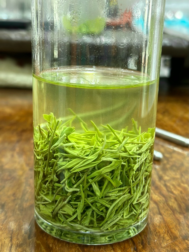 汇丰茶行<2025年新茶>高山绿茶散装茶叶浓香耐泡型55-100-190