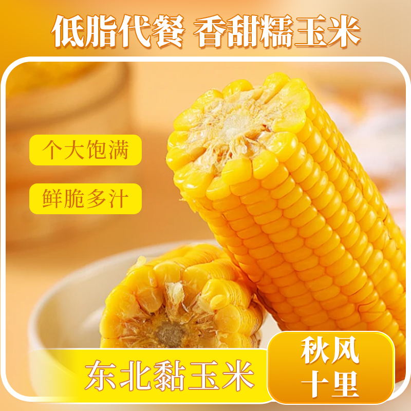 【试吃4根】今年东北黄糯玉米软糯粘香拍10送4发14根整箱5.5-6斤