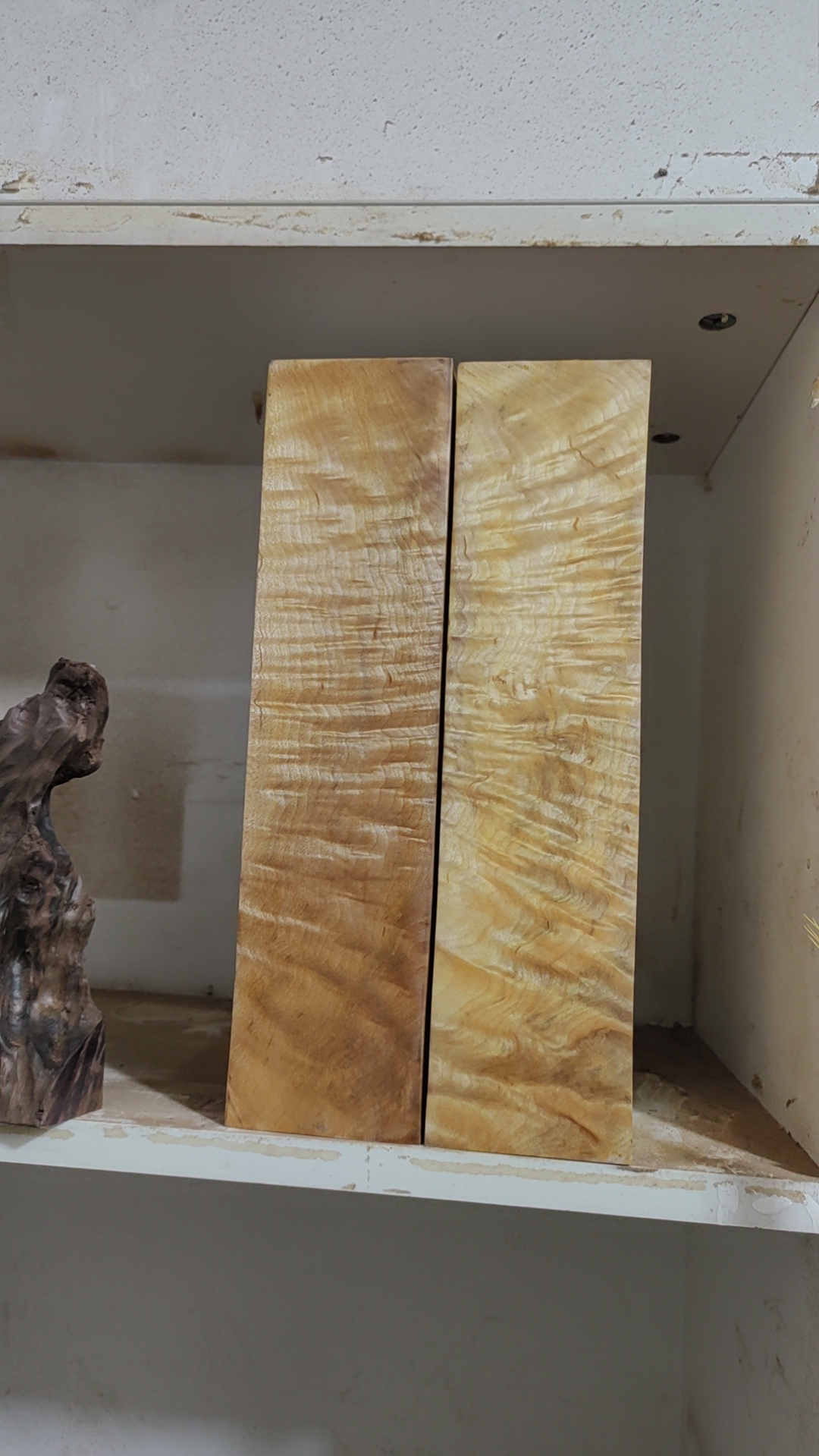 金丝楠木小叶桢楠