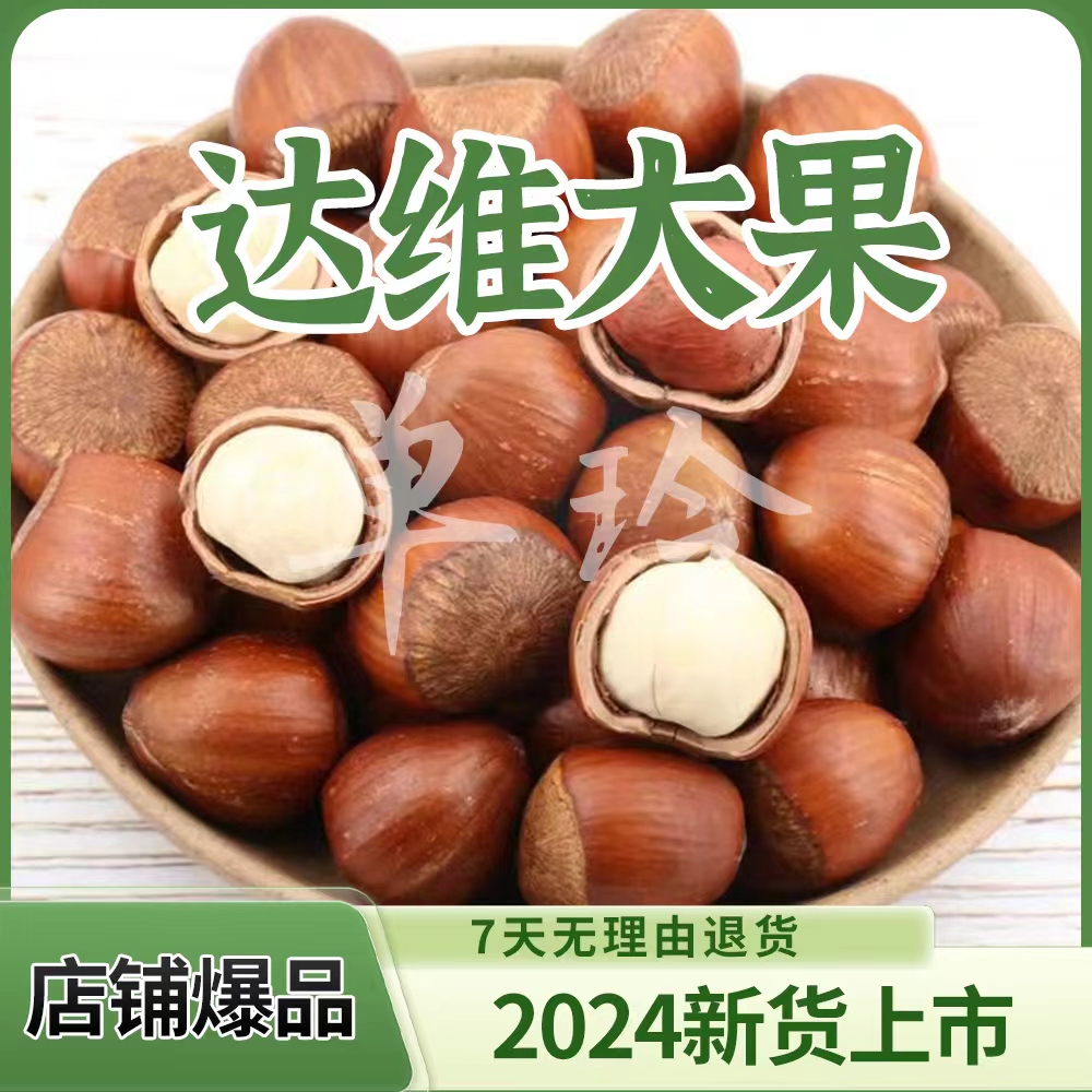 达维大果榛子（熟）