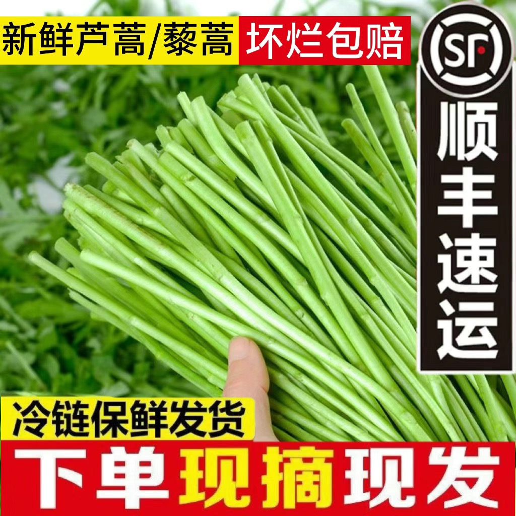 顺丰包邮芦蒿新鲜净菜切根去叶农家自种鲜嫩野菜泥蒿藜蒿坏烂包赔